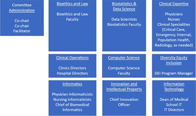 Governance of Clinical AI applications to facilitate safe and equitable deployment in a large health system: Key elements and early successes
